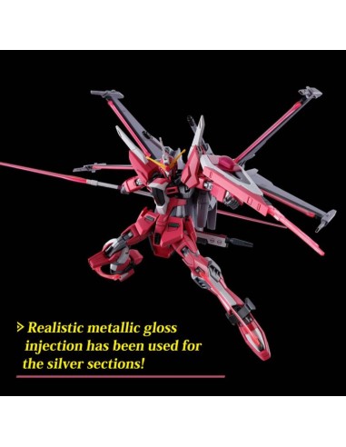 Gundam Gunpla HG 1/144 251 Infinite Justice Gundam Type II