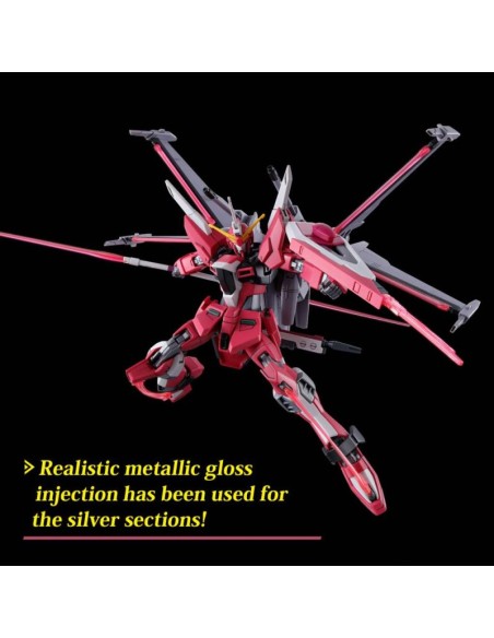 Gundam Gunpla HG 1/144 251 Infinite Justice Gundam Type II