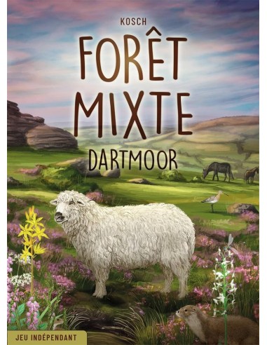 Forêt Mixte : Dartmoor