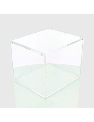 Phoenix Shield Protection Acrylique pour Display de 10 Mini tins