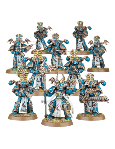 43-35 Thousand Sons : Rubric Marines