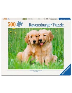 Les frères Golden Retriever