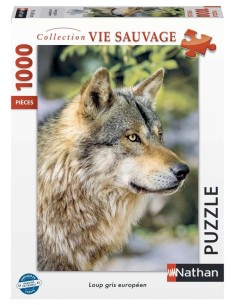 Loup gris européen