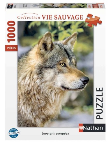Loup gris européen