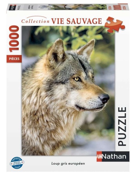 Loup gris européen