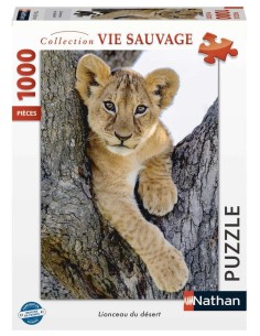 Lionceau du désert
