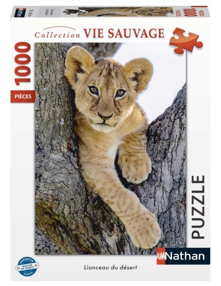 Lionceau du désert