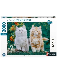 Chatons Sibériens