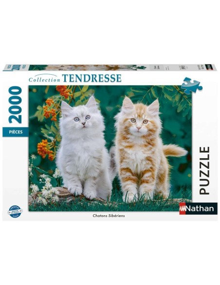 Chatons Sibériens