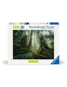 En forêt
