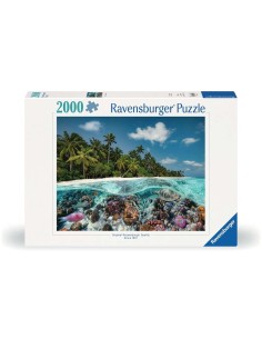 Une plongée aux Maldives