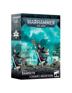 46-81 Aeldari Kharseth 2