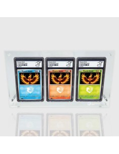 Protection Acrylique pour 3 Cartes Gradéee PCA