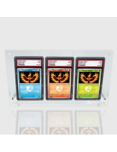 Protection Acrylique pour 3 Cartes Gradée PSA