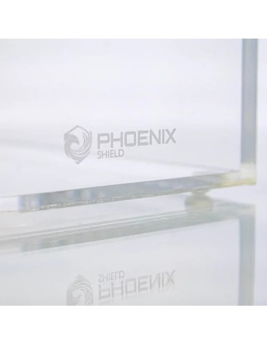 Phoenix Shield Protection Acrylique pour DISPLAY Pokémon