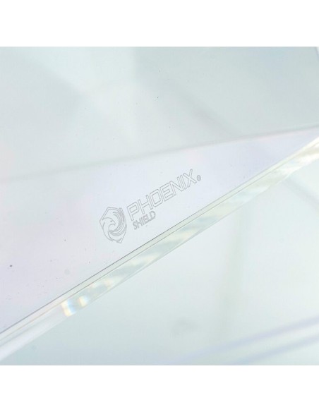 Phoenix Shield Protection Acrylique pour DISPLAY DE BUNDLE Pokémon