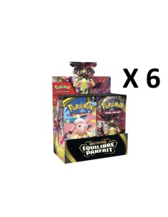 Carton de 6 Displays Equilibre Parfait | Tzp