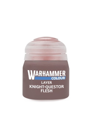22-93 Knight-Questor flesh