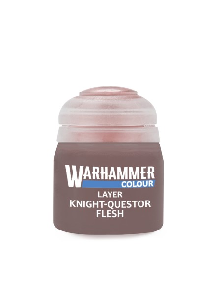 22-93 Knight-Questor flesh