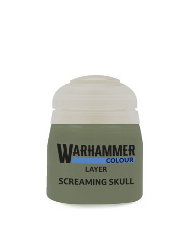 22-33 Screaming skull