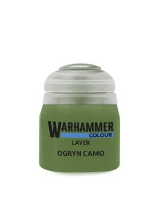22-31 Ogryn camo