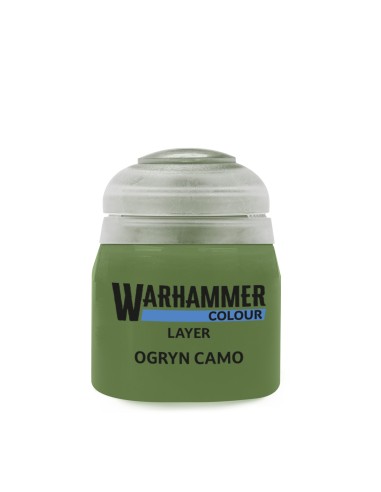 22-31 Ogryn camo