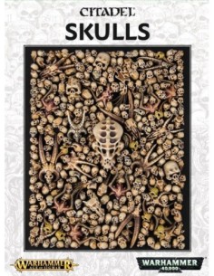 64-29 Citadel Skulls