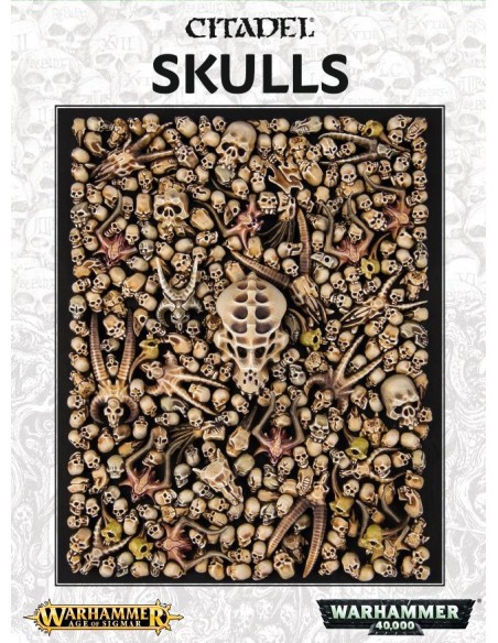 64-29 Citadel Skulls