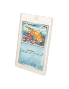 Phoenix Shield Protection Magnétique pour Cartes (X5) 2